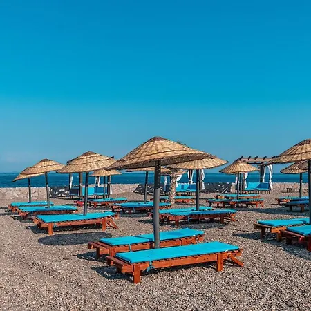 Dove & 4* Assos