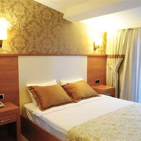 Dove & 4* Assos