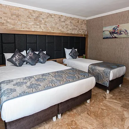 Dove & 4* Assos