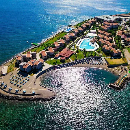 Dove & 4* Assos