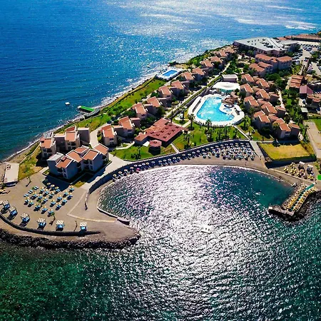 Dove & 4* Assos