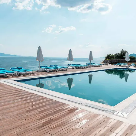 Dove & Assos