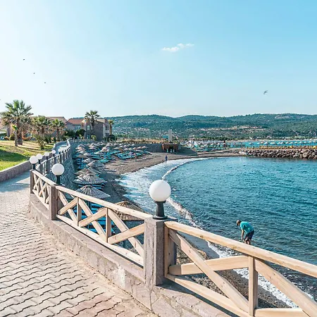 Dove & 4* Assos