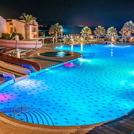 Dove & 4* Assos