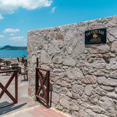 Dove & Ξενοδοχείο 4*